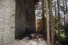5: celles-photo08-800x532