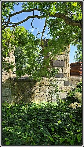 9: coblence-photo09-577x1024