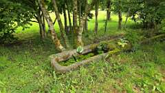 11: courval-photo11-1024x580