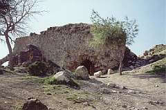 1: darbsak01-542x358