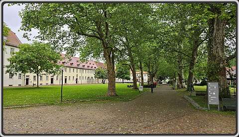 11: mergentheim-photo11-1200x680