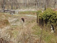 owiesno-photo10-800x531