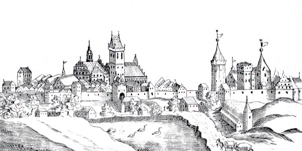 les ruines du château de Prabuty (Riesenburg)