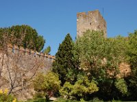 tomar-photo27-1024x680