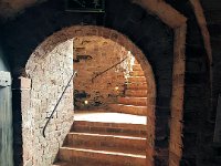 torun-photo34-768x1024